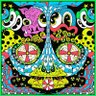 Edward Dangus's profile picture