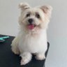 Leon T 的头像