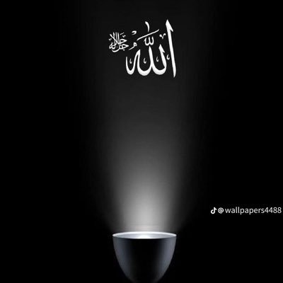 Awwaal568's profile picture