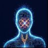Nokwers's profile picture