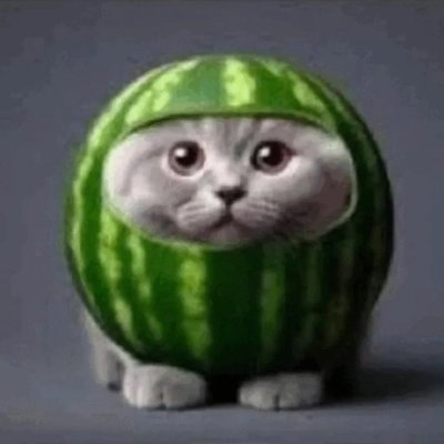 villezen's profile picture