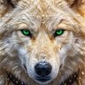 Judolpf Bergowitzensteinler's profile picture