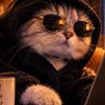 Kolyn's profile picture