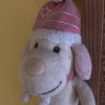 Profilbild von El peluche politólogo