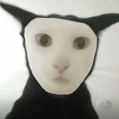 tintnlng2's profile picture