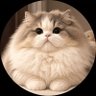 猫胖胖 的头像