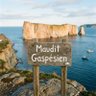 Le_maudit_Gaspesien 的头像