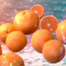 SWEETNER_ANT33🍊's profile picture