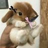 Bnuuied's profile picture