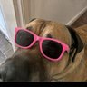 Archille DJOKA's profile picture