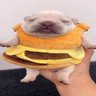Profilbild von mel