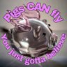 Itanimulli's profile picture