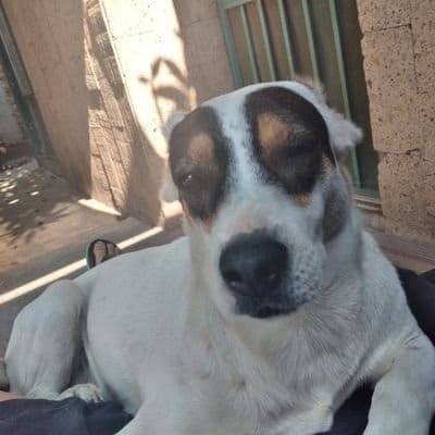 Sr. Wayne el Ávidos de atención 🫡 😂🤣's profile picture