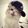 B profil fotoğrafı