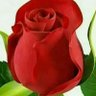 Profilbild von অচেনা মানুষ