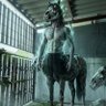 Фото профиля ผีม้าบ้อง🐴
