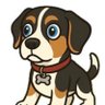 HenryDog27 profil fotoğrafı