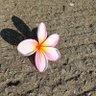 Фото профиля لا إله إلا الله