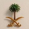 ابن الوطن's profile picture