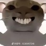 Profilbild von 哈基米