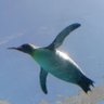 ヤブにらみの某クン profil fotoğrafı