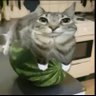Влад 的头像