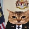 🇲🇾 的头像