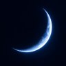 コーネリアス🌙's profile picture