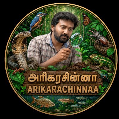 Arikarachinnaa's profile picture