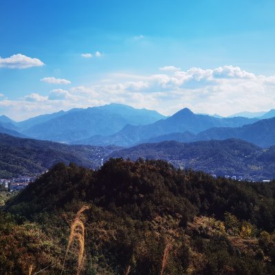XinggangWang's profile picture