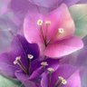 ھم عوام profil fotoğrafı