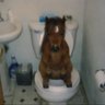 la favorita de dios's profile picture