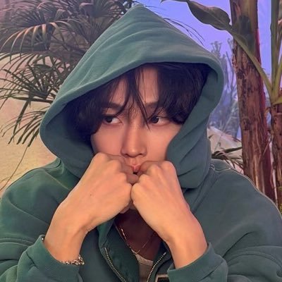 🦉🍯's profile picture