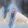 Hibicure 的头像