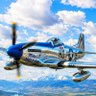 maverick2496 🇳🇱 Tjitte de vries profil fotoğrafı