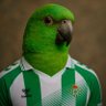 Juan profil fotoğrafı