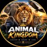 Animal Kingdom's profile picture