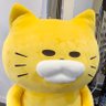 まぅ's profile picture
