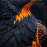 أحمد البعني's profile picture