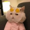 𝐵's profile picture
