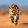 Фото профиля Eric Yip