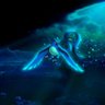 ramus's profile picture