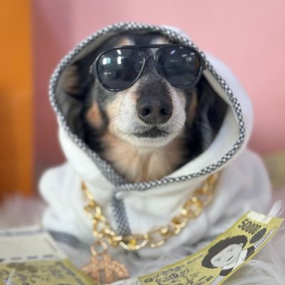 뇽's profile picture