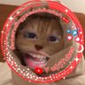 ℐ'𝓂 𝒢𝒾𝒻𝒻𝓎𝓎𝓎 profil fotoğrafı