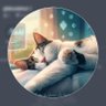 Profilbild von xBlo0dSh0t