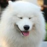 かんかん profil fotoğrafı