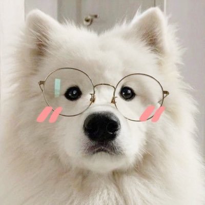 zinxinʕ •ᴥ•ʔ's profile picture