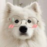 zinxinʕ •ᴥ•ʔ 的头像