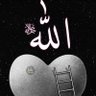 پکتین افغان's profile picture
