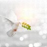 هناك أمل🌱's profile picture